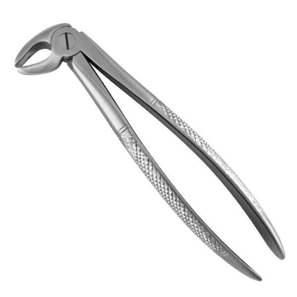 Extraction Forceps #13
